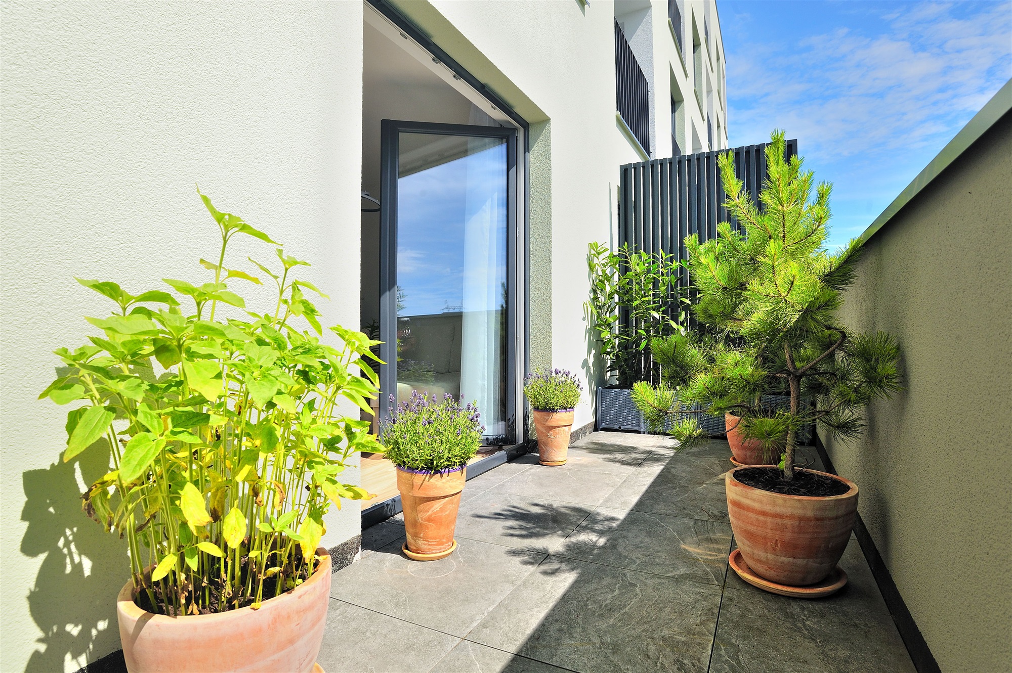 Zakup nieruchomości